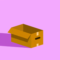 cat illustration GIF