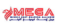 Megagrading Sticker by MEGA