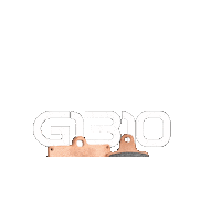 Pads Sticker by Galfer Brakes