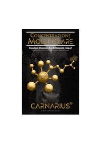 carnarius meat carne carnarius salotto carnarius Sticker