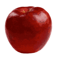 Food Drink Apple GIF