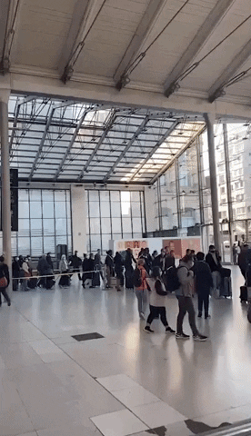 France News GIF by Storyful