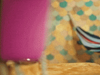 everwhatproductions funny hello lol phone GIF