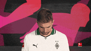 Borussia Moenchengladbach Football GIF by Bundesliga