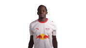 Red Bull Rbl Sticker by RB Leipzig