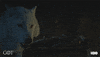 Prepare Season 7 GIF by Game of Thrones