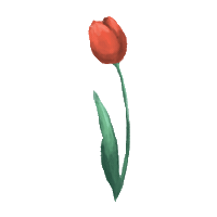 Virtual Bouquet Sticker by Hello Flowers！