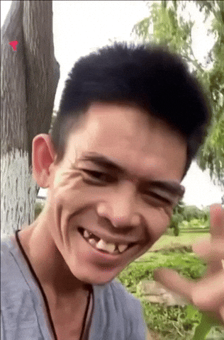 Fun Love GIF by Piñata Farms: The Meme App