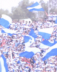 Uc Los Cruzados GIF