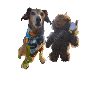 Star Wars Dog Sticker by Geekster Pets