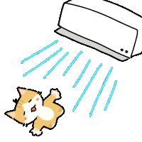 Happy Summer Sticker