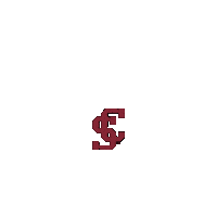 Bbf Sticker by Santa Clara Broncos