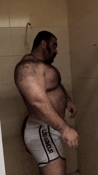Bear Daddy GIF by Database數據