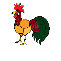 Rooster Chickens Sticker