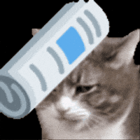 Cat No GIF