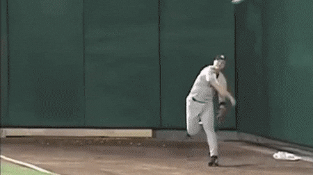 New York Baseball GIF by YES Network