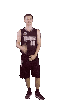 Basketball Phone Sticker by ACSL - Austrian College Sports League
