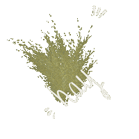 Hay Lapin Sticker