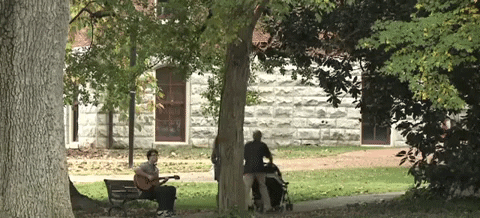 tennessee GIF