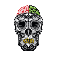 Beerchroniclehou skull texas houston craft beer Sticker