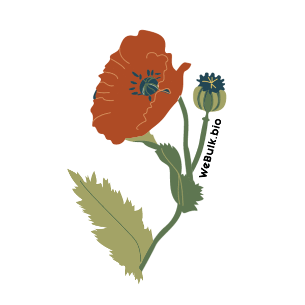 Fleur Sticker by webulk