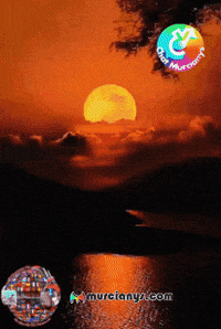 Gracias Dios Amigos GIF by Murcianys LLC