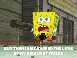 season 5 GIF by SpongeBob SquarePants