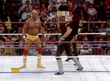 hulk hogan GIF by WWE