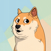 Shiba Inu Wow GIF by Doge Pound