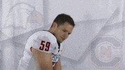 Carson Newman Football GIF by Carson-Newman Athletics