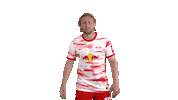 Football Sport Sticker by RB Leipzig