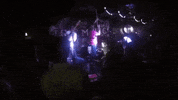 topshelf records prawn GIF