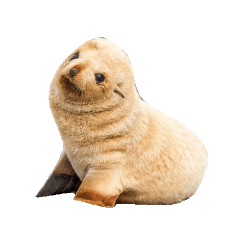 Sticker by erichamlet