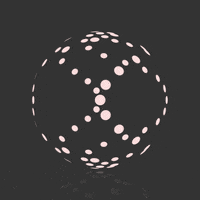 GIF by Borrachas