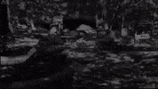 Words Dope GIF