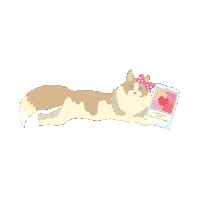 Blush Cheek Sticker by CANMAKE TOKYO