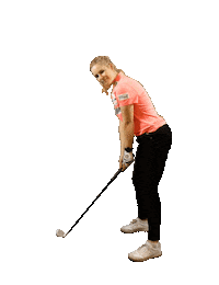 Golfing Hole In One Sticker by Anastasia Mickan