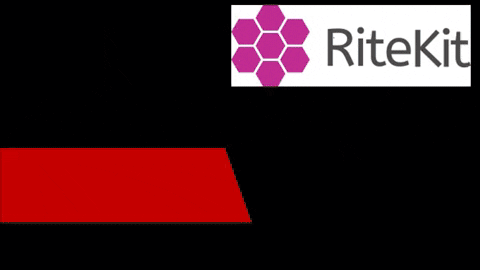 Microservices Google My Business GIF by RiteKit