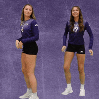 Volleyball Wesleyan GIF by KWC Panthers