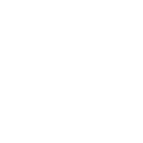 Konings Sticker by Koningsfysiotraining