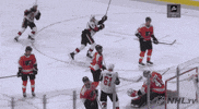 happy ice hockey GIF by NHL