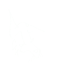 Los Angeles Vinyl Sticker by In Sheep's Clothing