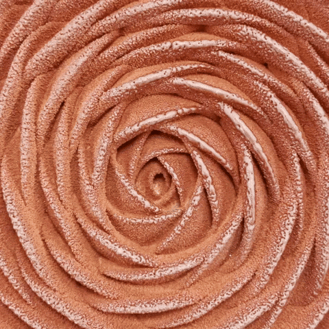 Red Rose Flower GIF by Cedric Grolet