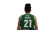 Sport Basketball Sticker by Basket_fi