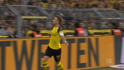 marco reus football GIF by Borussia Dortmund