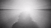 Light GIF by Preston Pablo