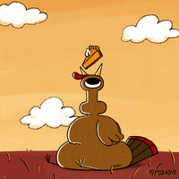 Pumpkin Pie Fox GIF by Animation Domination High-Def