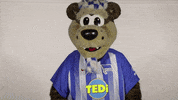 Hertha Berlin Sport GIF by Hertha BSC