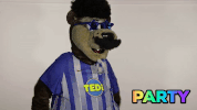 Hertha Berlin Party GIF by Hertha BSC