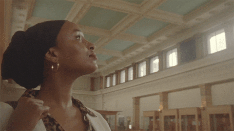 Mcgillu GIF by McGill University